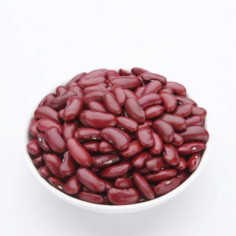 精选红芸豆补血养胃饱满    500g/份