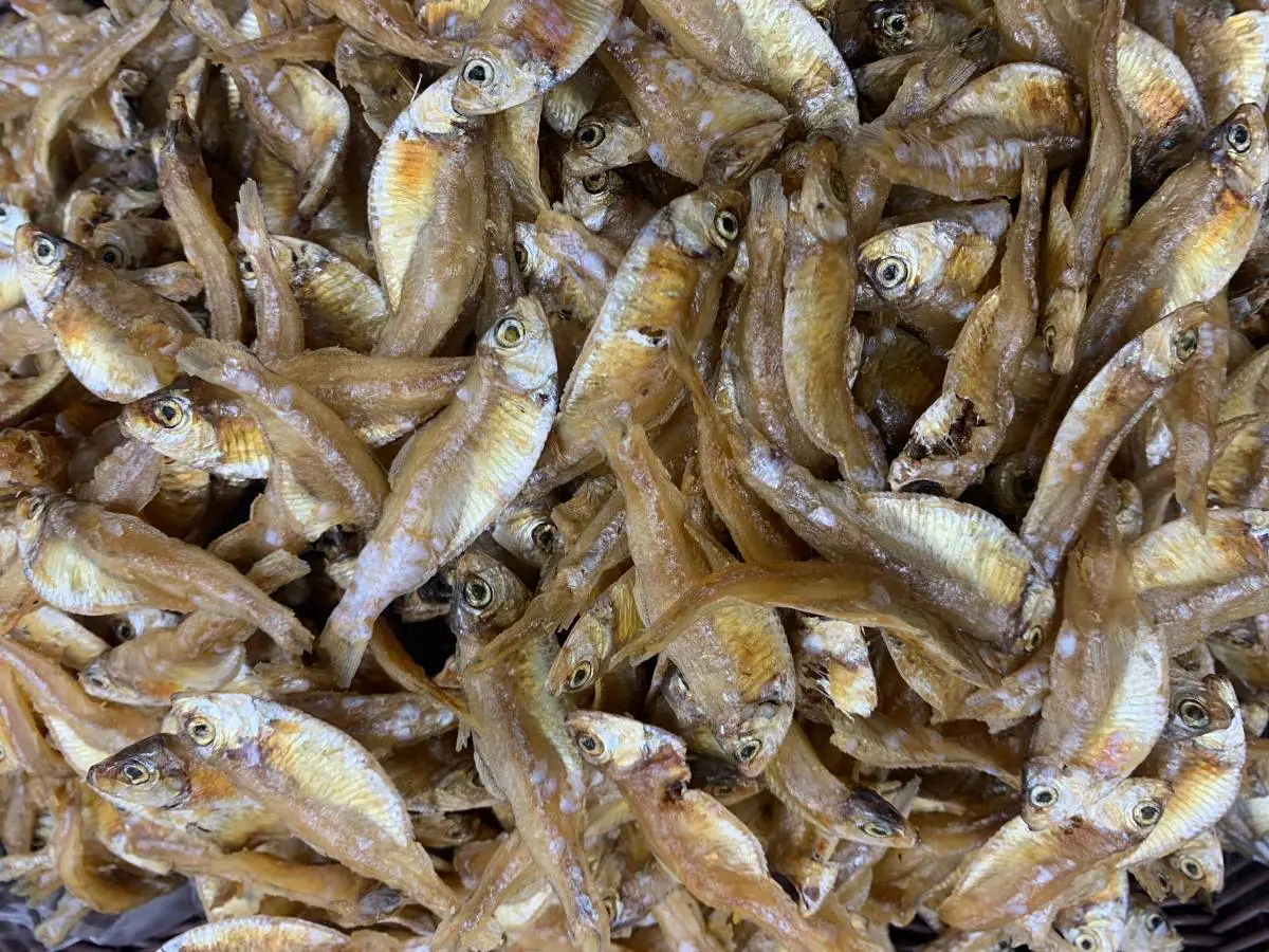 干货小白条鱼干 250g/份