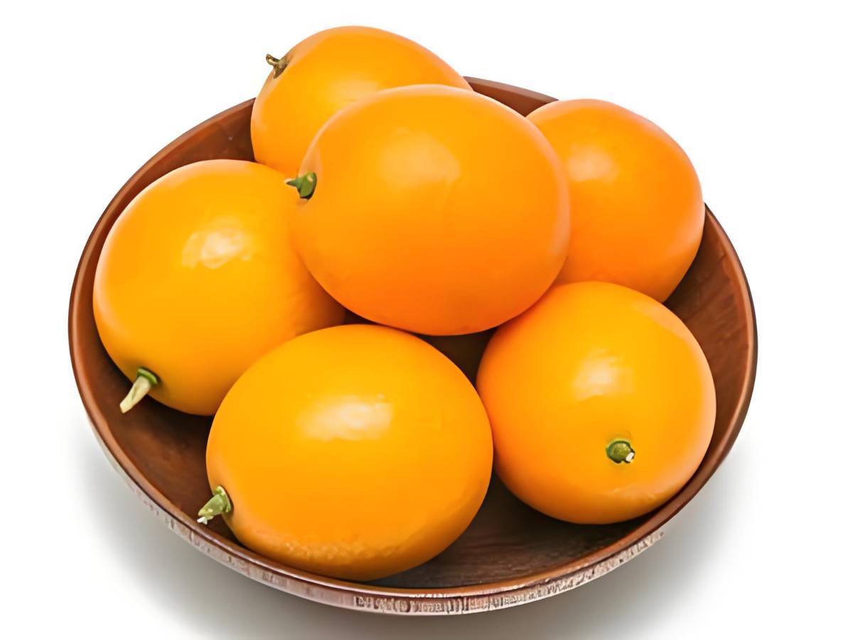 新鲜金桔子   350g/份