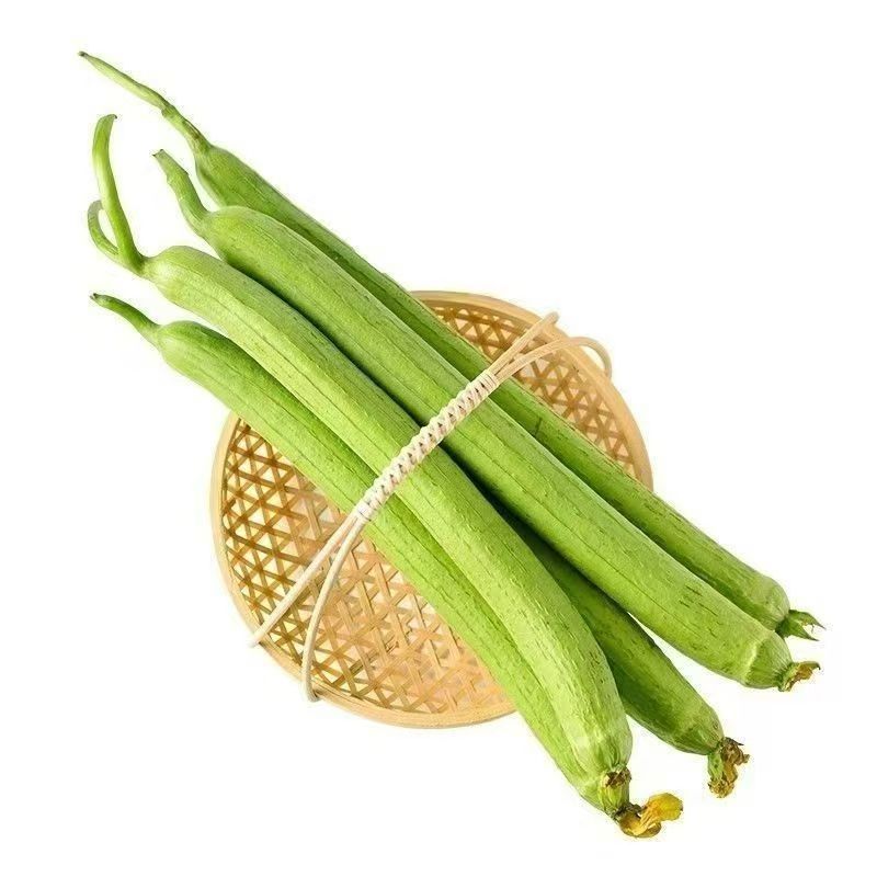 新鲜长条丝瓜    300g-400g/份
