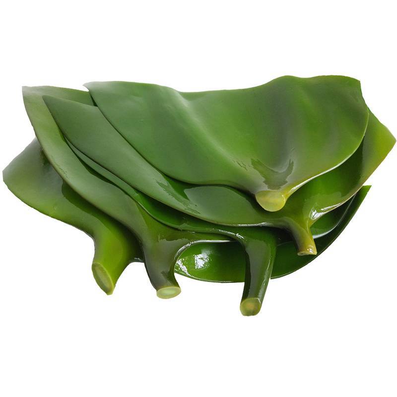 盐渍海带头海带根   250g/份