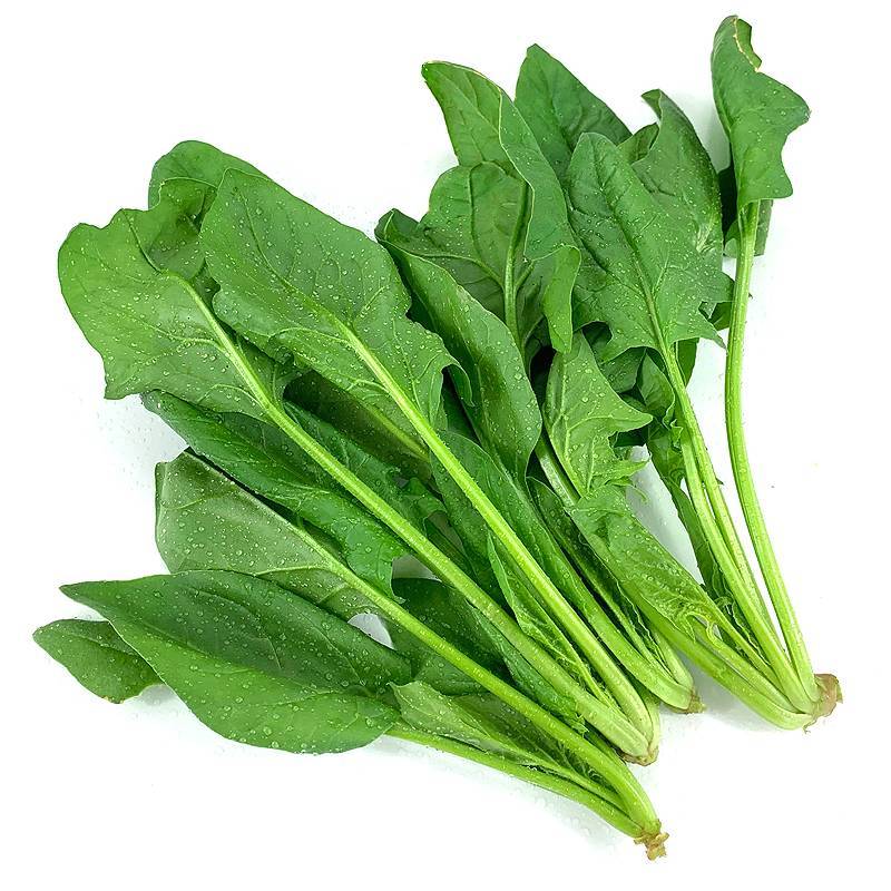 新鲜菠菜500g 火锅炒菜食材