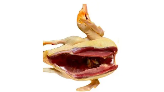 本地老番鸭   2.8-3.3斤/只（家禽上午10点半到13点半暂停接单，下午13点半-16点半可下单)