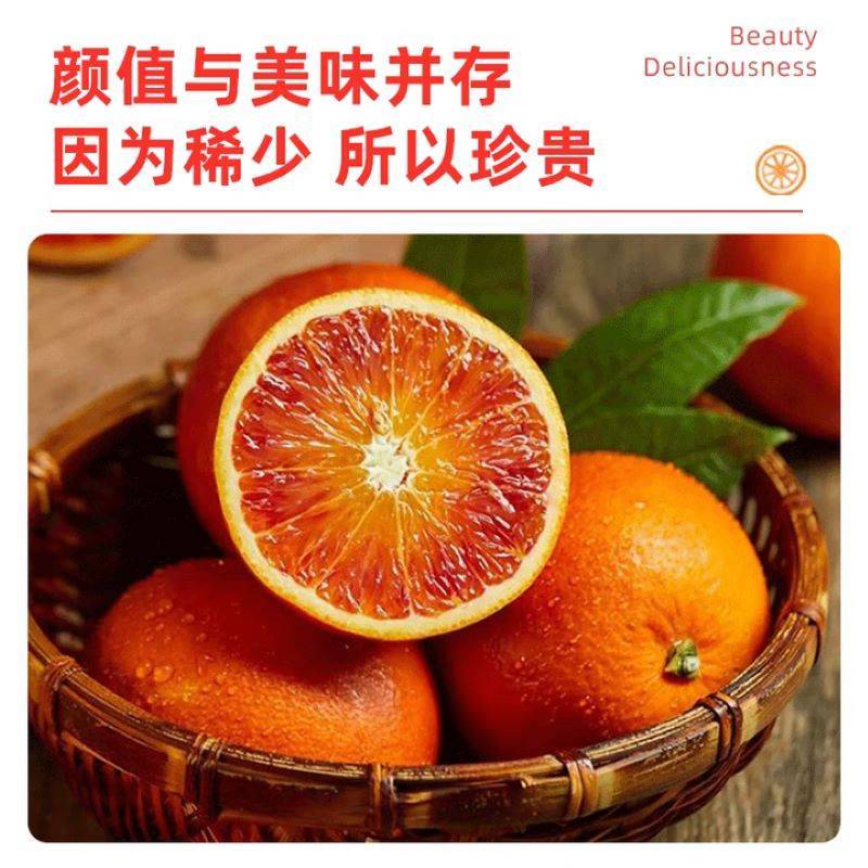 新鲜血橙红肉橙 450g-500g/份