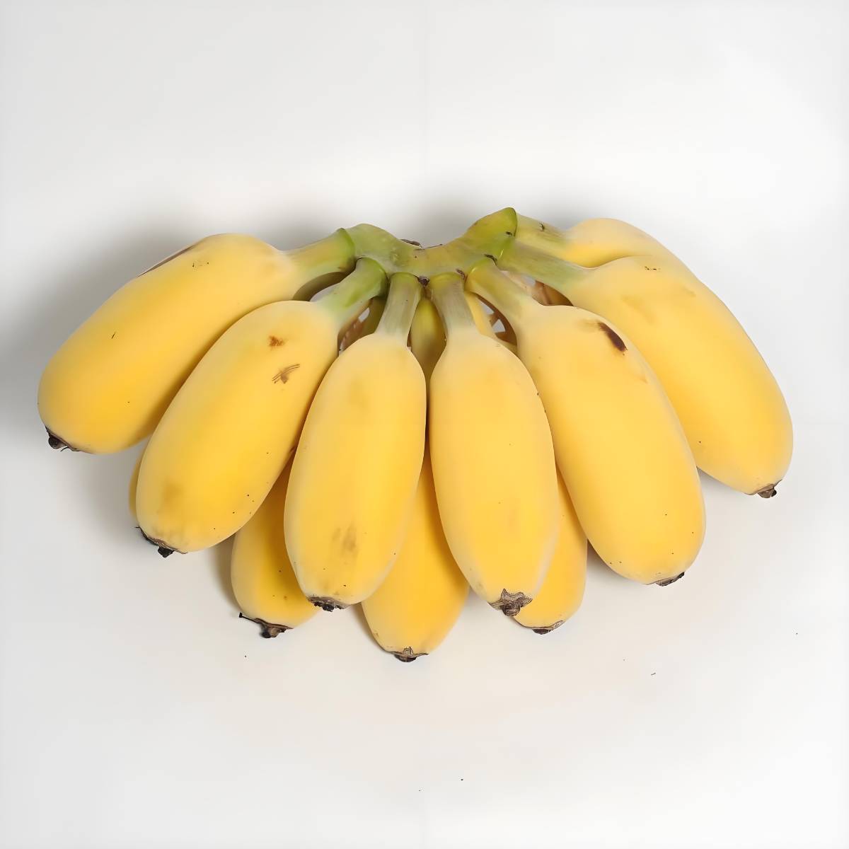 苹果蕉米蕉      450g-500g/份  
