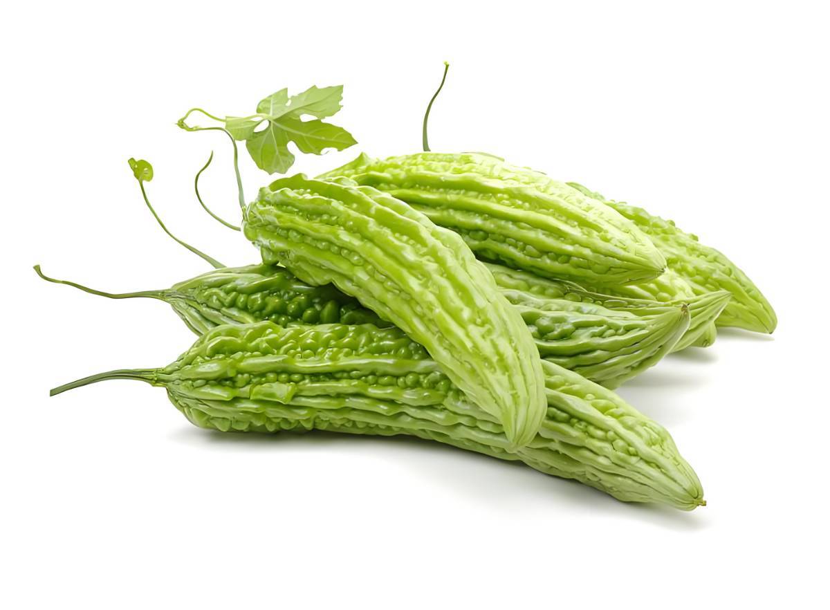 新鲜苦瓜  300g-400g/根（称重退差价）