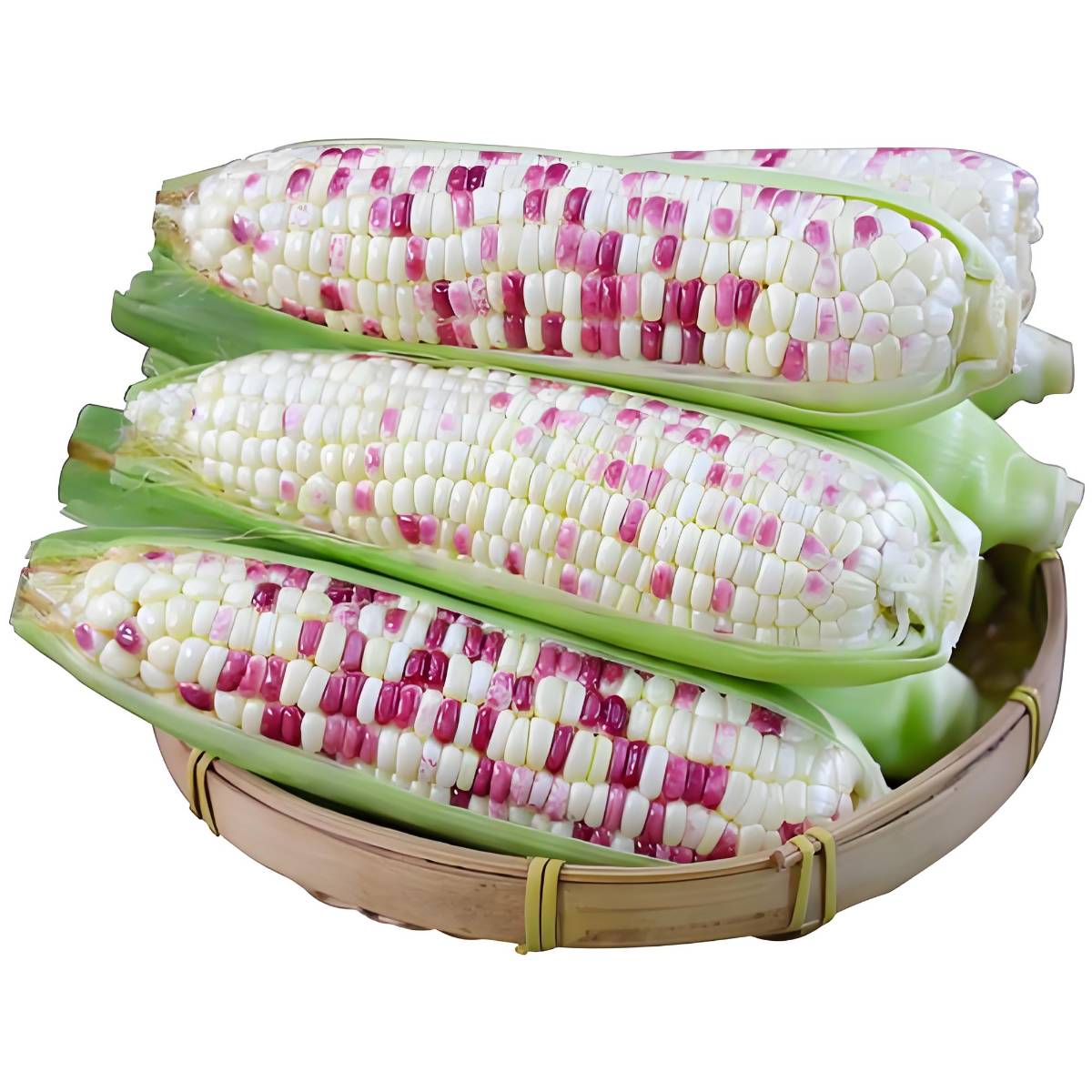   新鲜本地花玉米带壳   350g-400g/份 