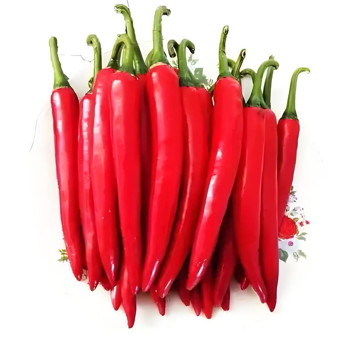 新鲜红美人椒    240g-260g/份