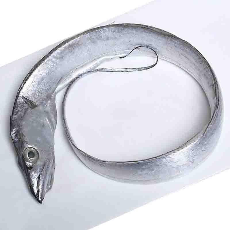 冰鲜带鱼    450g-500g/份