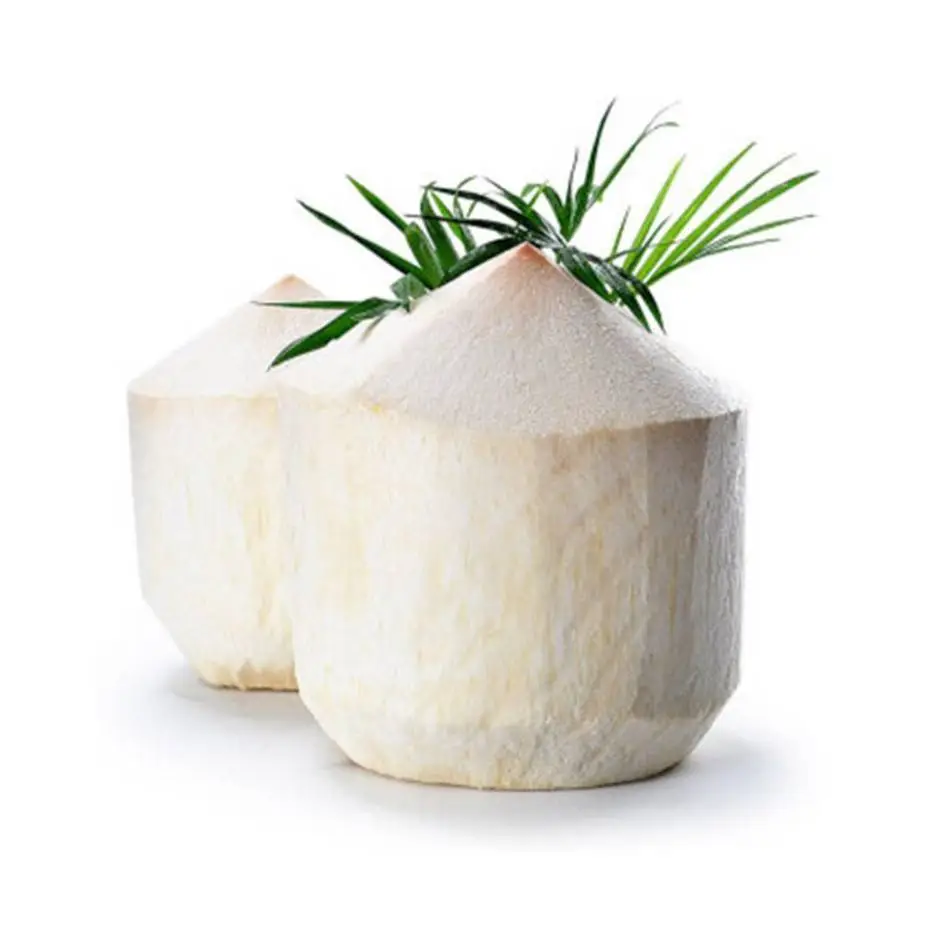 椰青（个） 1/个