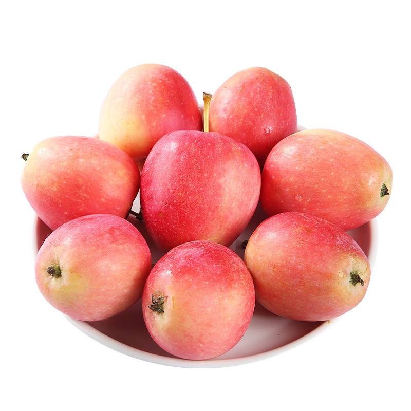 鸡心果450g-500g/份