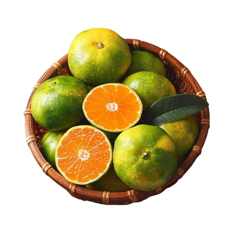 蜜桔 450g-500g/份