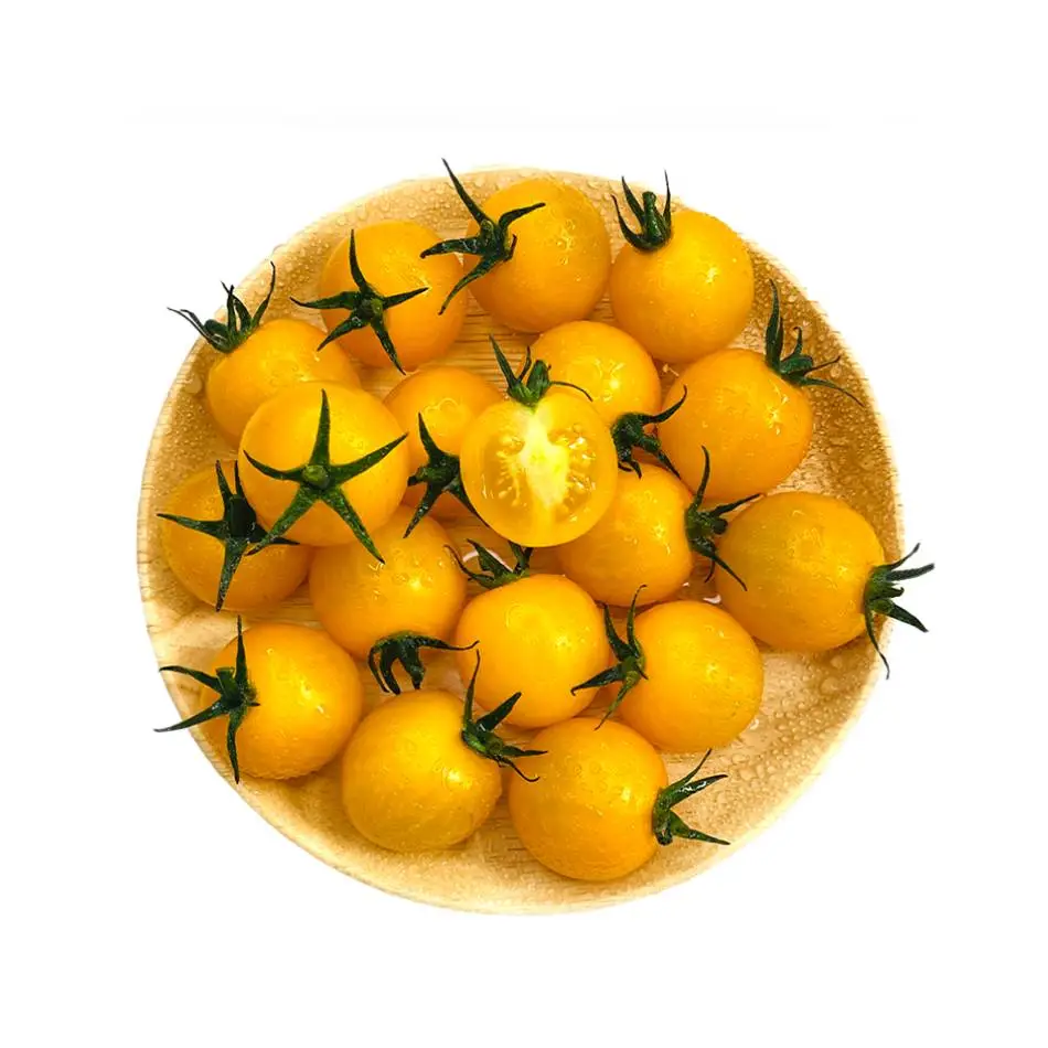 黄圣女果  240g-250g/份