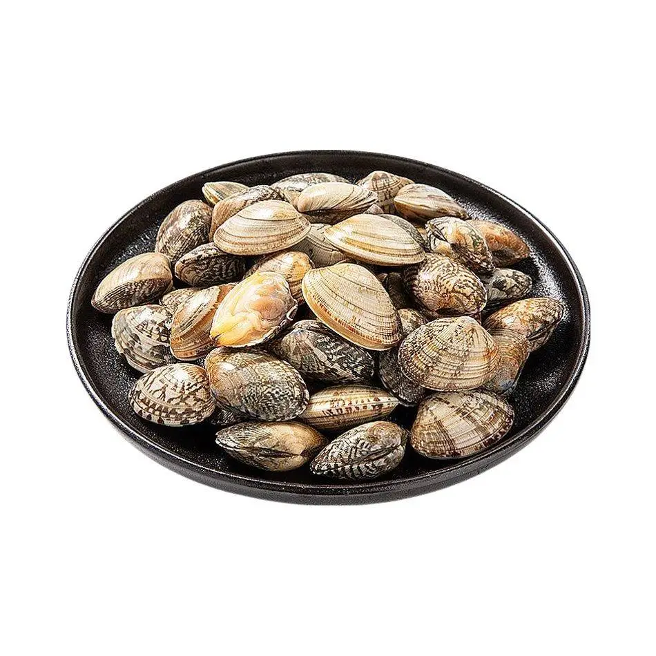 花蛤   450g-500g/份