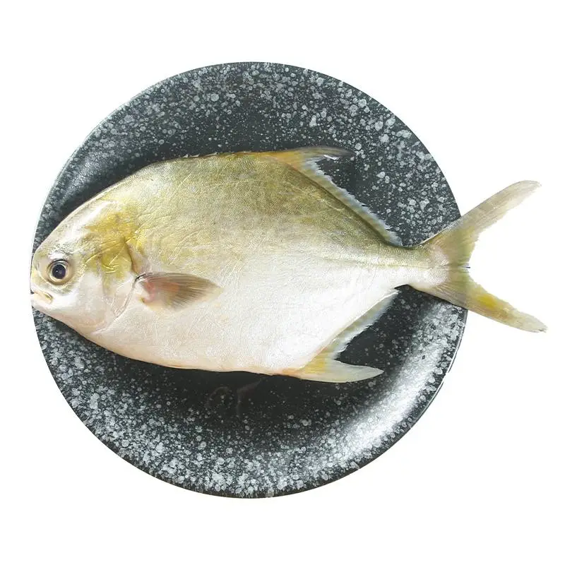 金鲳鱼 杀前重450g-500g/条【称重补差】