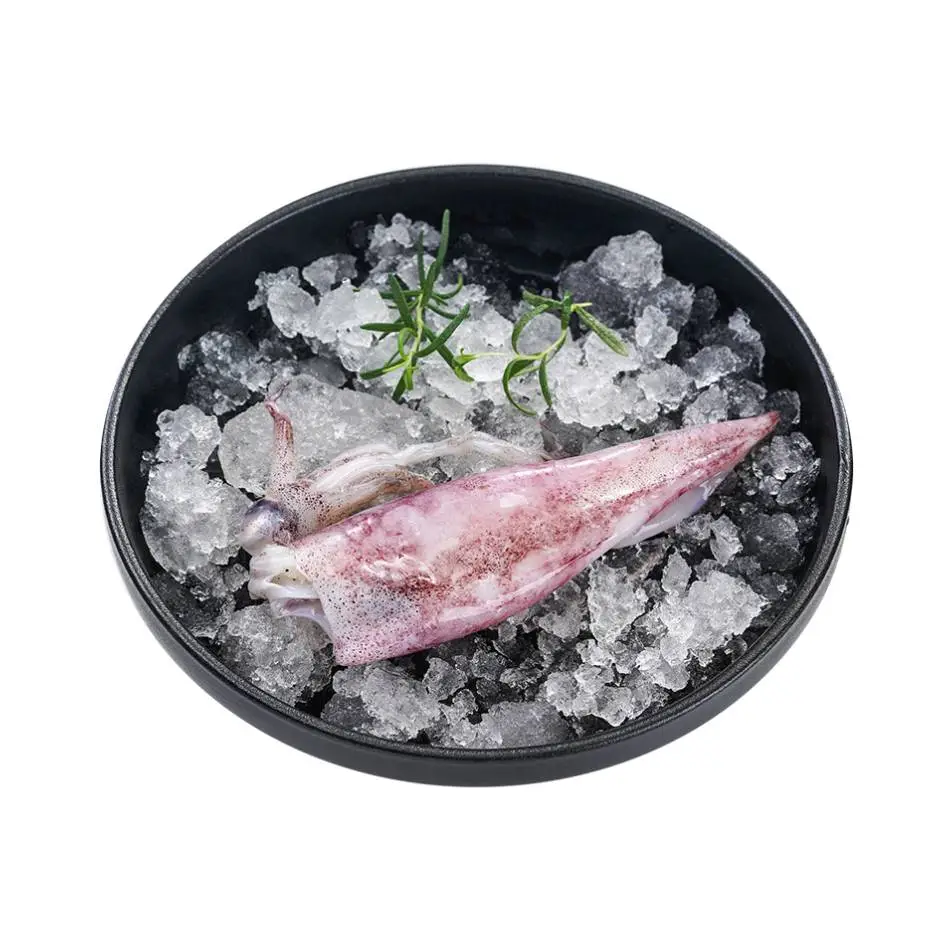 鲜鱿鱼 450g-500g/份
