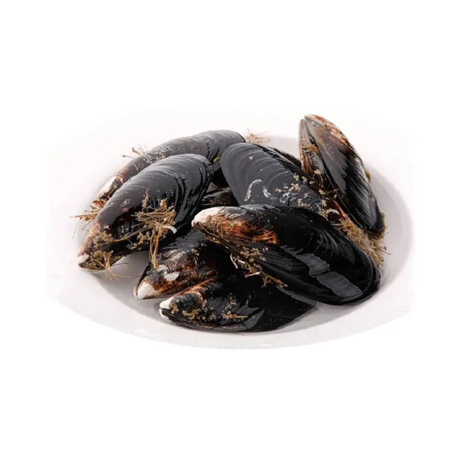 淡菜  450g-500g/份