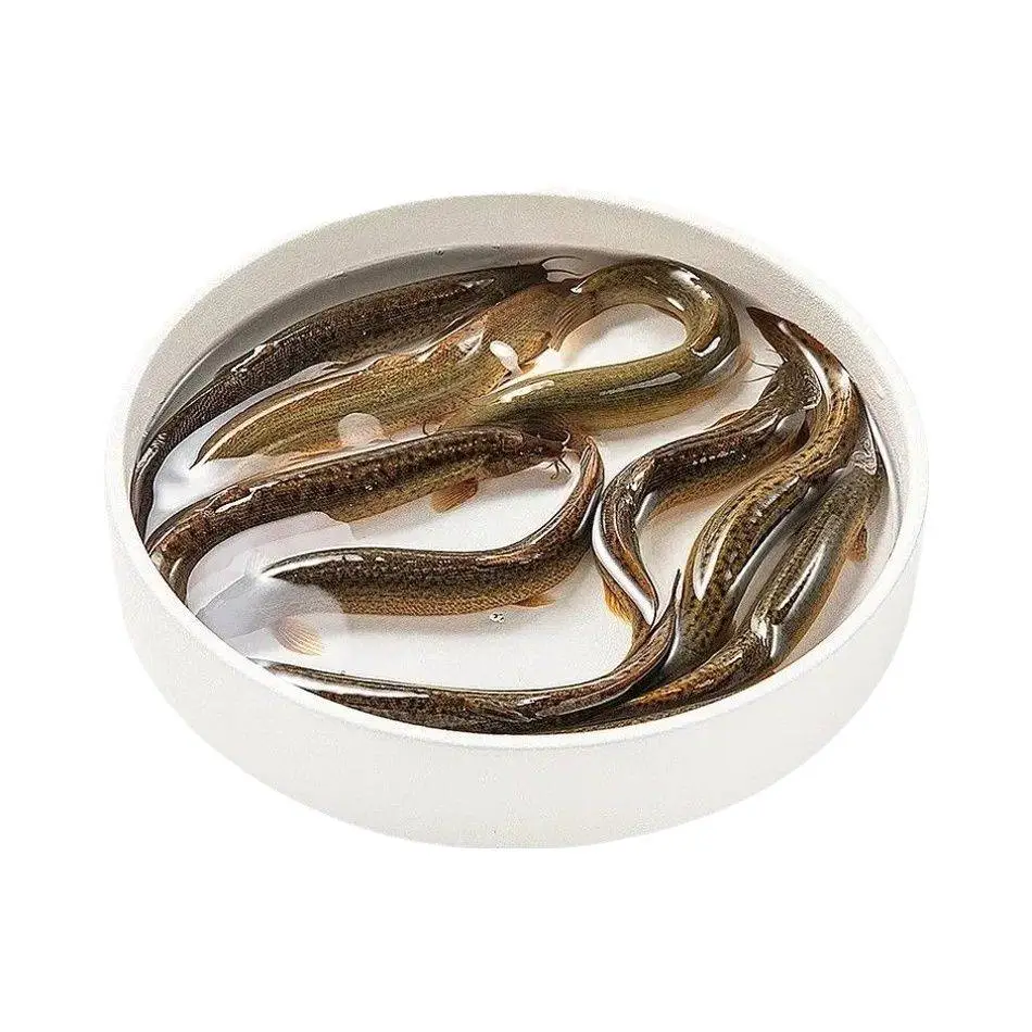 扁泥鳅  450g-500g/份