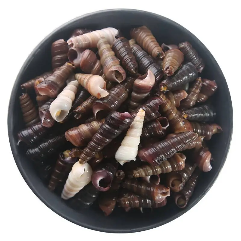 丁螺  450g-500g/份