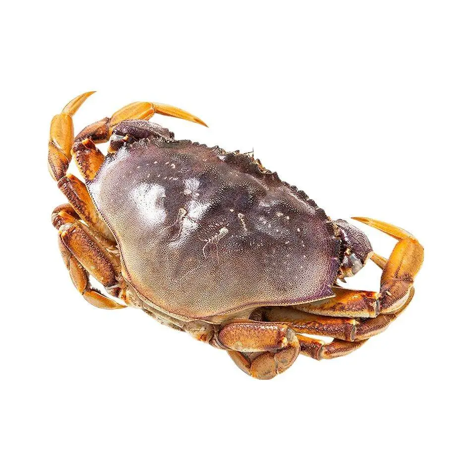 珍宝蟹 1.5kg【称重补差】