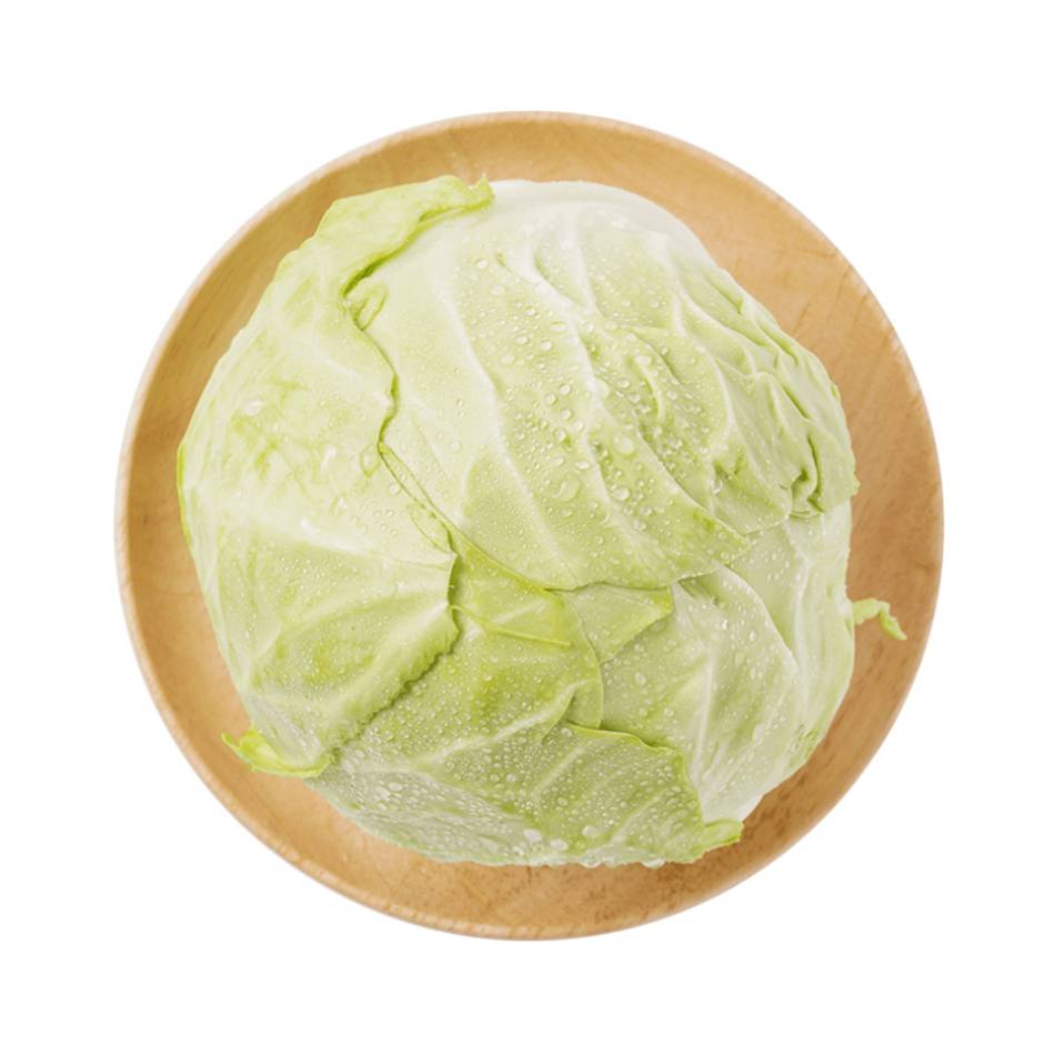 流星包菜  1.5kg±150g