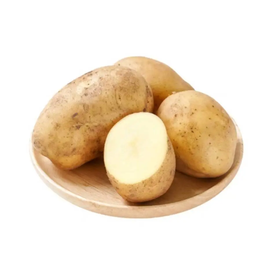 中号土豆 450g-500g/份