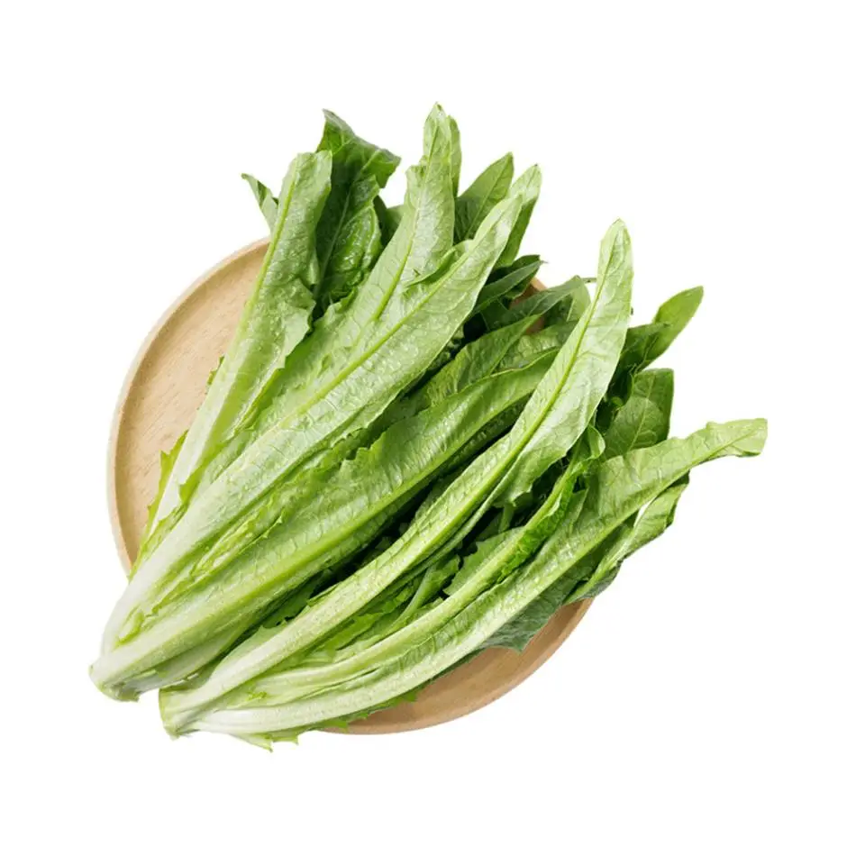 油麦菜  450g-500g/份