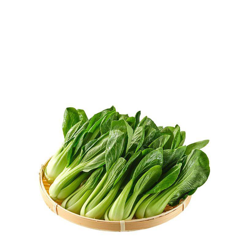 小上海青  450g-500g/份