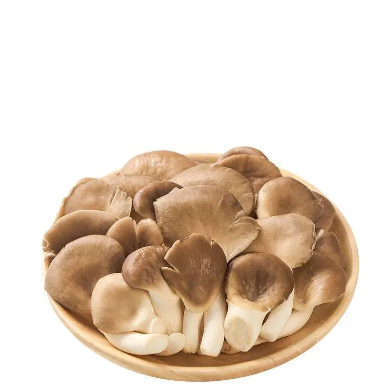 秀珍菇  240g-260g/份