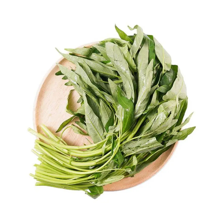 空心菜  450g-500g/份