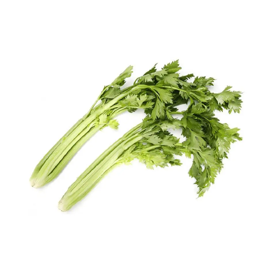 芹菜  250g-260g/份