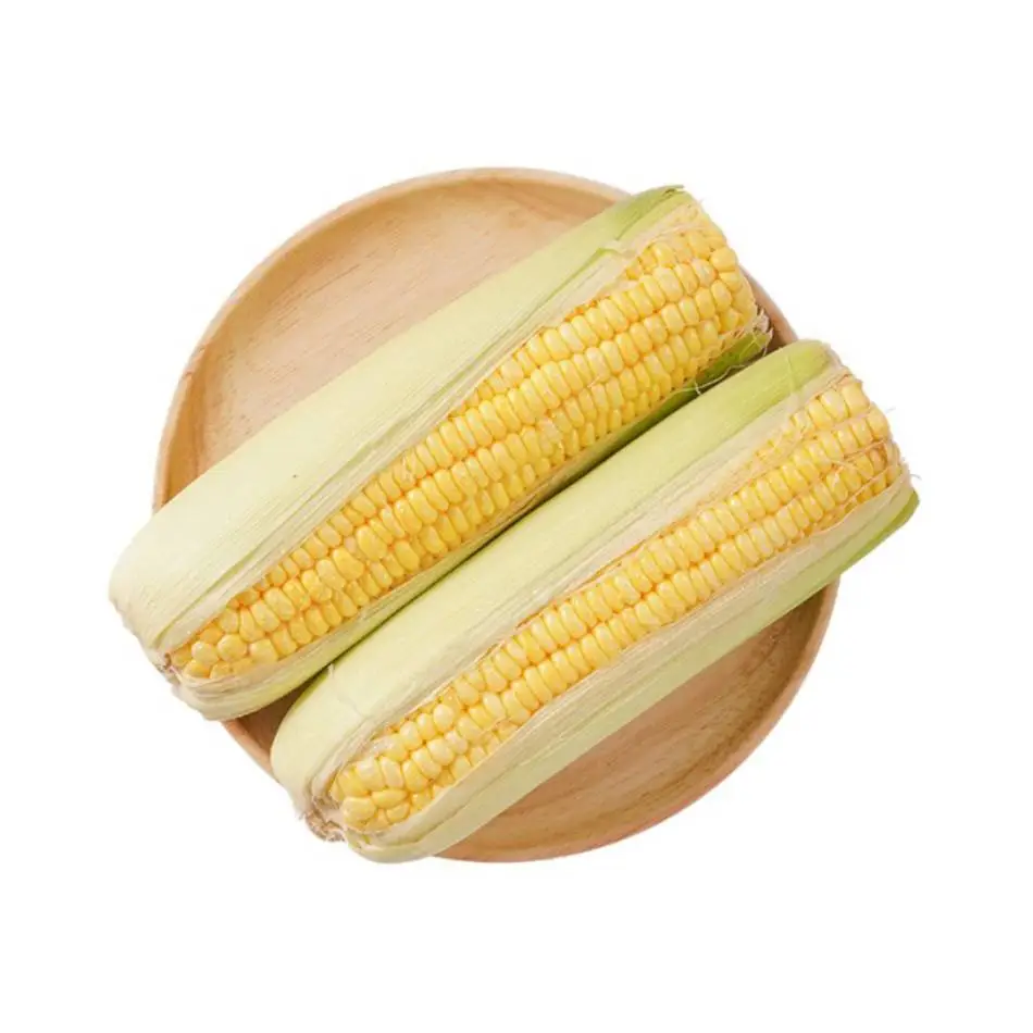 甜玉米  450g-500g/份