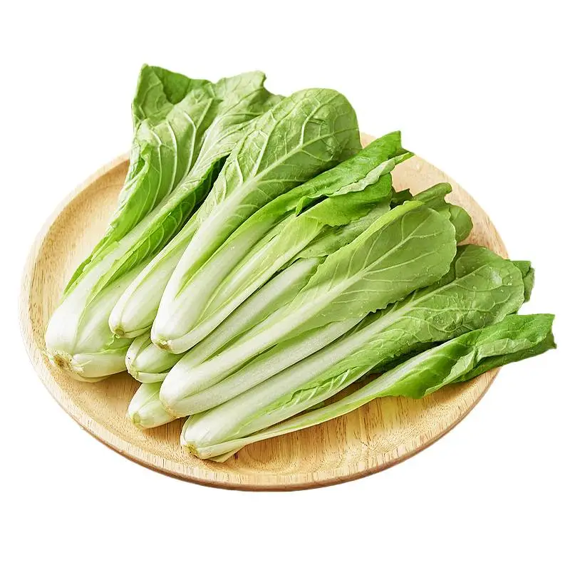 快白苗 450g-500g/份