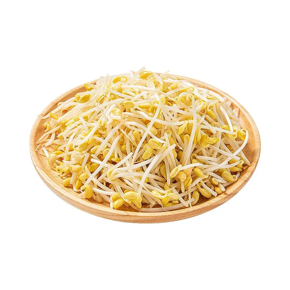 本地黄豆芽 450g-510g/份