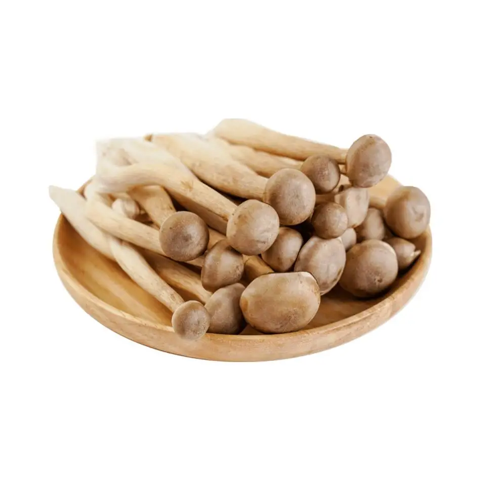 鲜鹿茸菇  250g/份