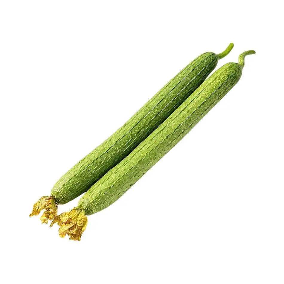 长丝瓜 450g-500g/份