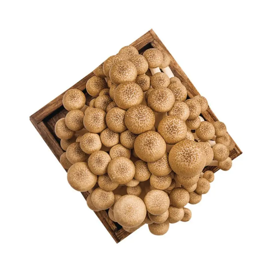 蟹味菇   150g/包