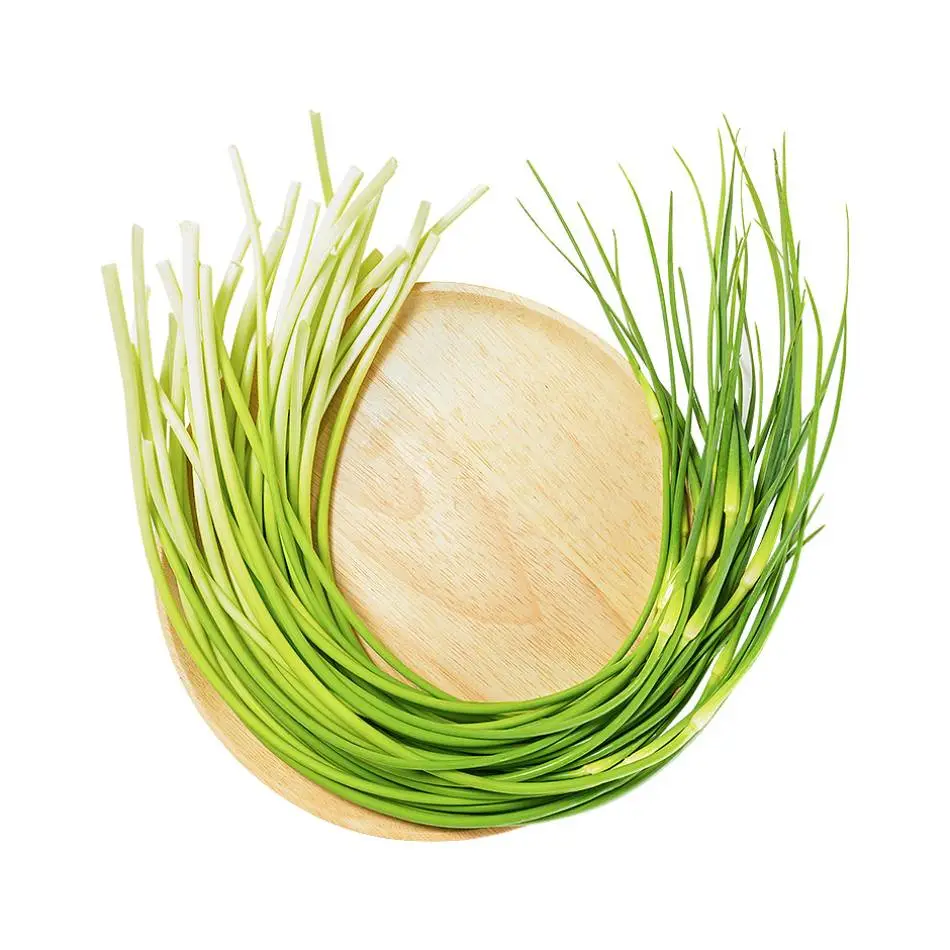 新蒜苔 240g-250g/份