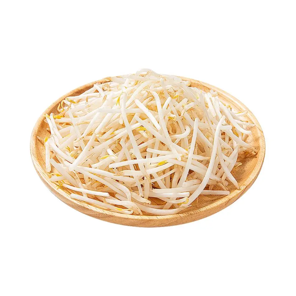 绿豆芽  450g-500g/份