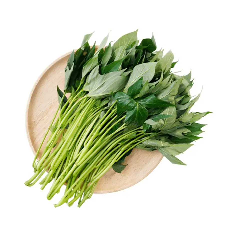 地瓜叶  450g-500g/份