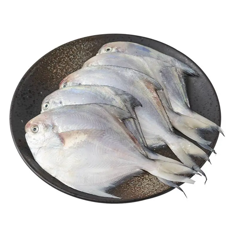 冰鲜小白鲳 450g-500g/份