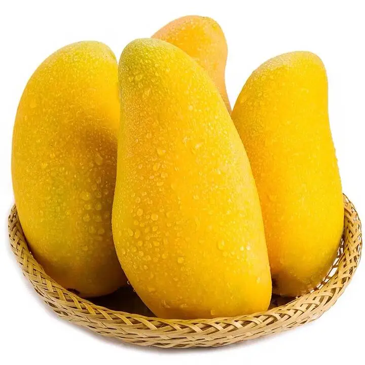 水仙芒果 450-500g/份