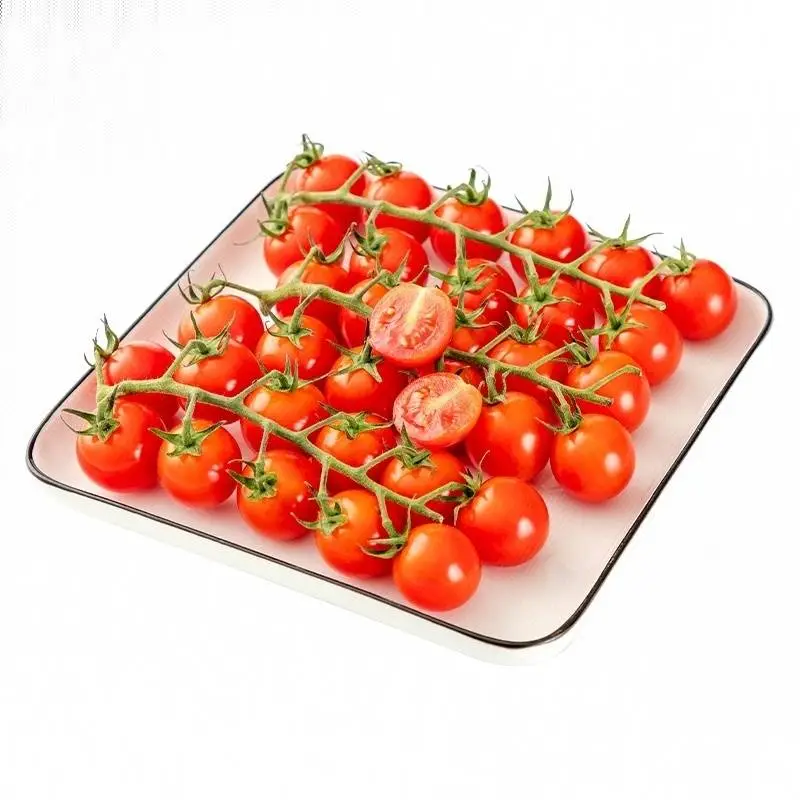 串番茄 450g-500g/份