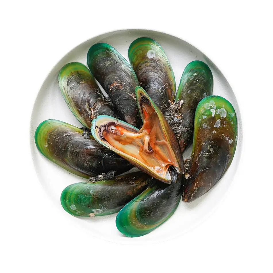 青口贝 450g-500g/份