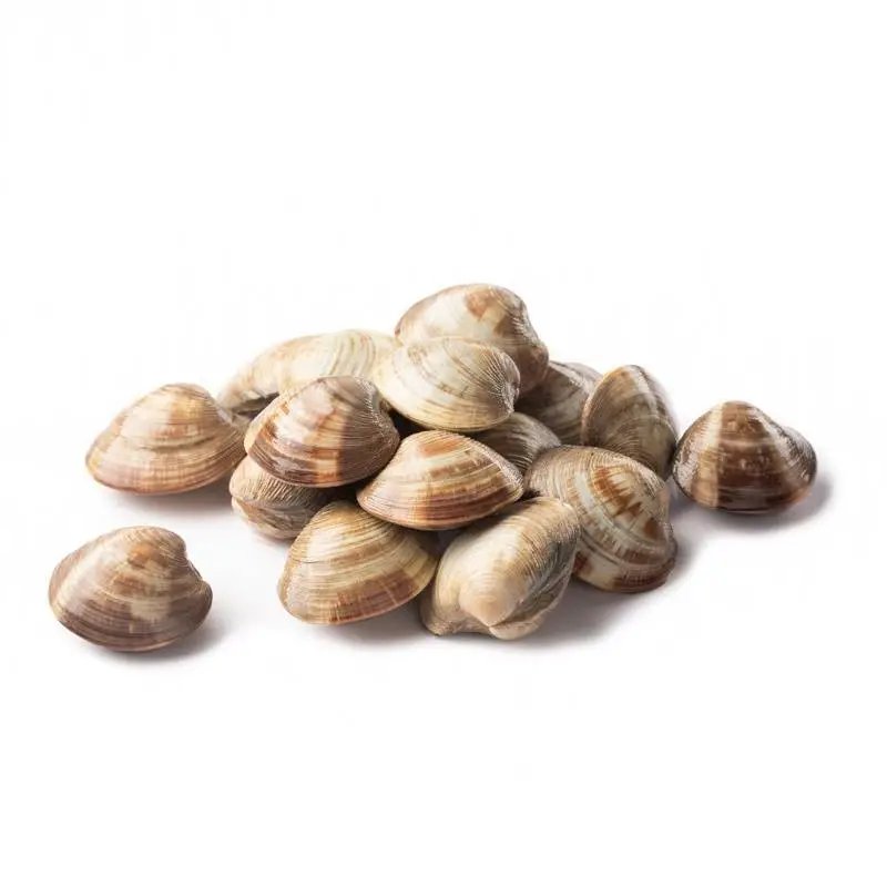 蛤蜊  450g-500g/份