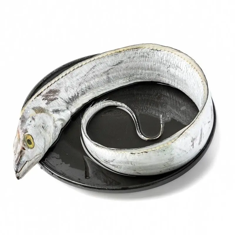 冰鲜带鱼 500g±50g/份