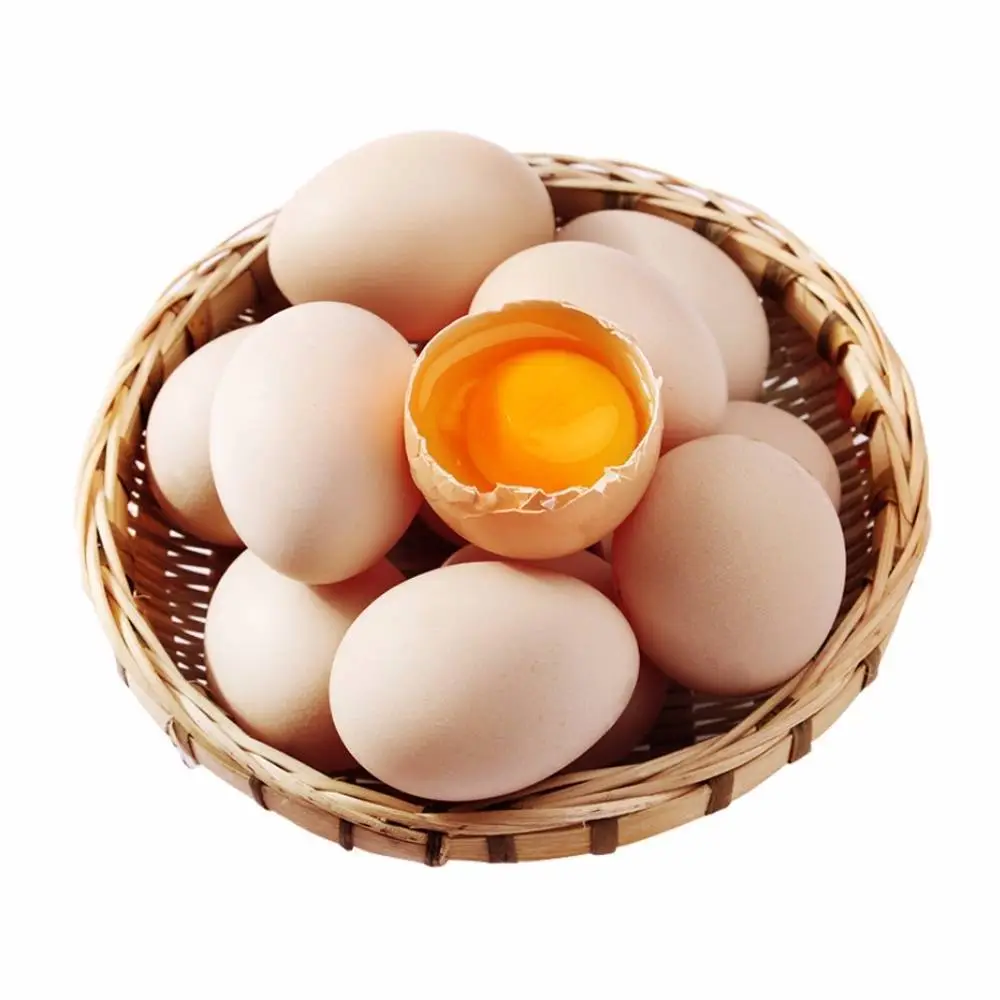 新鲜鸡蛋15枚约900g-1000g/板