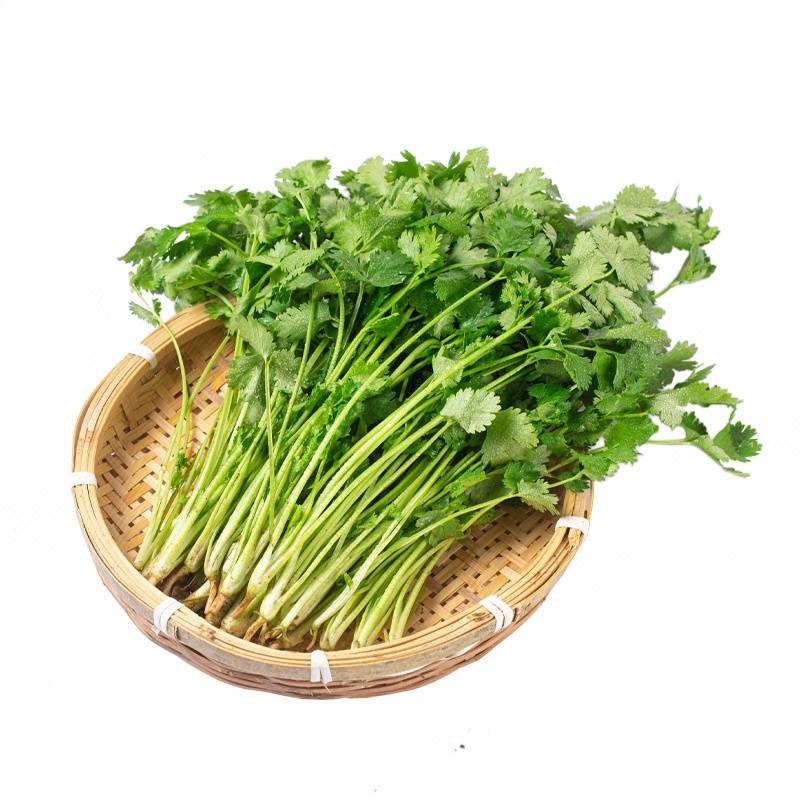 香菜  100g/份