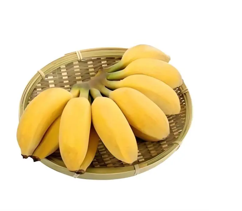 米蕉  450-500g/份