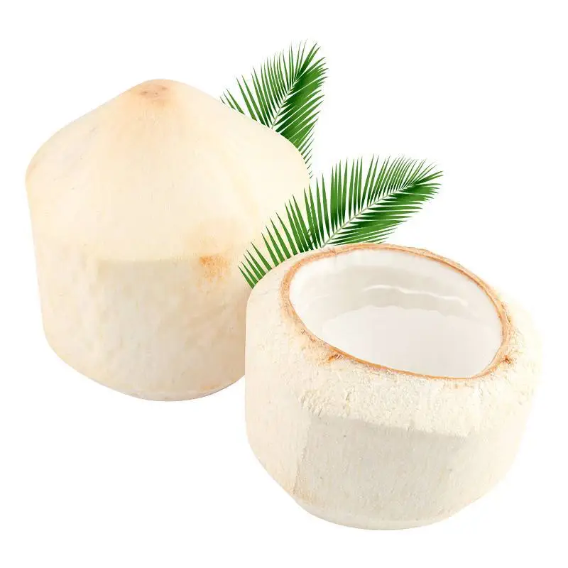 椰青（个） 1/个